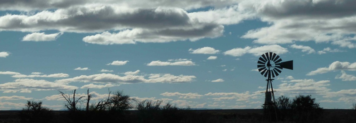 Dans le Karoo, Afrique du Sud