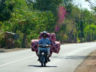 Sur la route entre Pemuteran et Gilimanuk, à Bali.