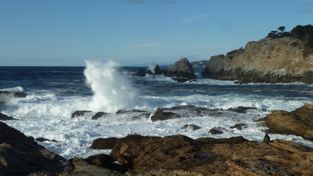 Point Lobos State reserve, près de Carmel.