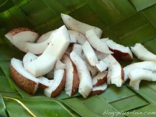 Noix de coco, à Rangiroa.