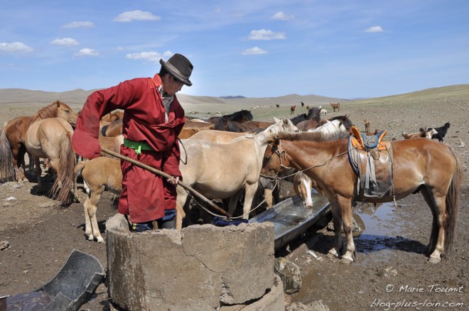 Mongolie: un homme au puits pour abreuver ses cheveux.