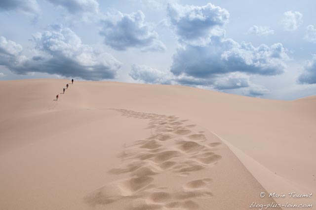 Dunes dans le désert de Gobi en Mongolie