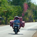 Sur la route entre Pemuteran et Gilimanuk, à Bali.