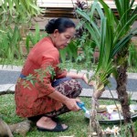 La mère de famille multiplie les offrandes (Ubud)