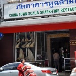 Resto d'ailleron de requin, à Chinatown, à Bangkok.