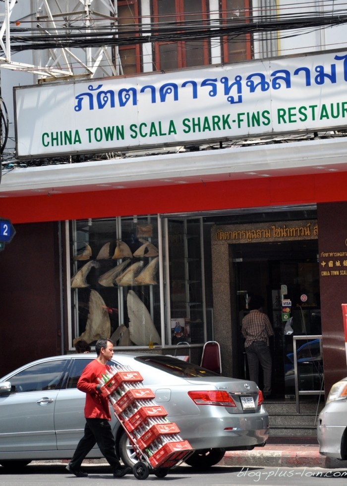 Resto d'ailleron de requin, à Chinatown, à Bangkok.