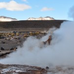 Geysers del Tatio. Désert d'Atacama. Chili.