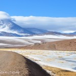 De retour des geysers del Tatio. Désert d'Atacama. Chili.