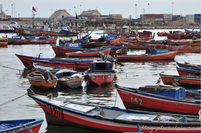 Iquique. Chili.