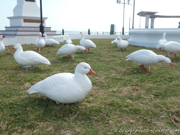 Iquique. Chili.
