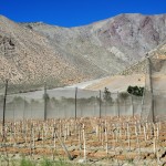 Vallée de l'Elqui.