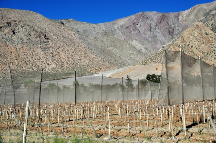 Vallée de l'Elqui.