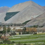 Vallée de l'Elqui.