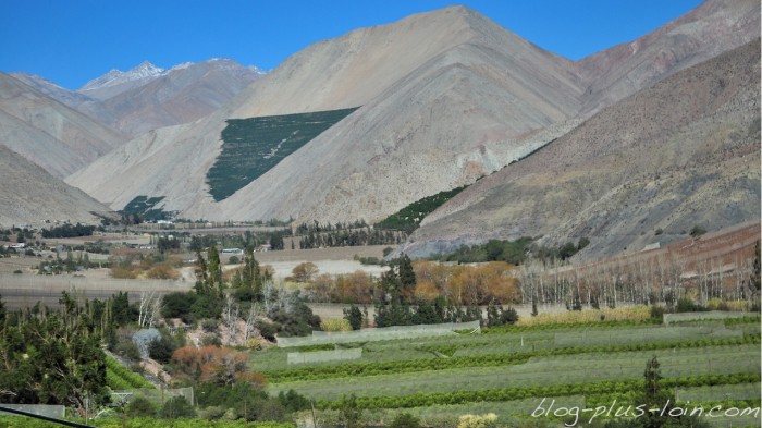 Vallée de l'Elqui.