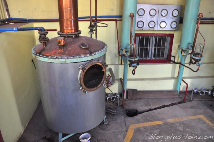 Dans une fabrique de Pisco, à Pisco Elqui.