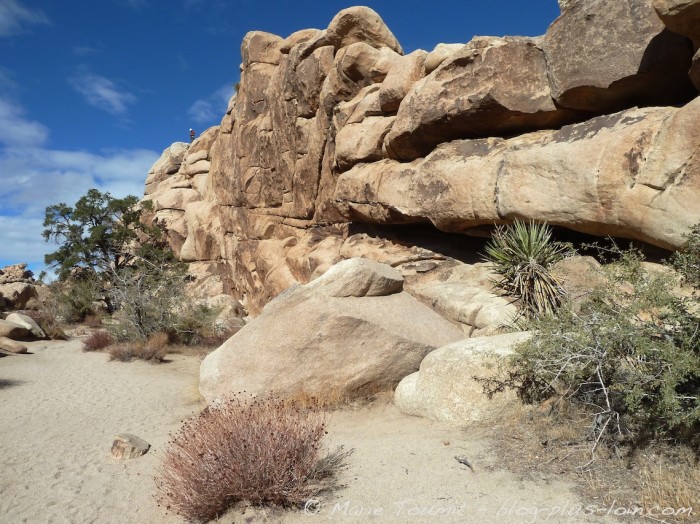 Joshua tree national park, Californie.