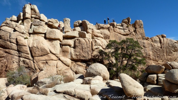 Joshua tree national park, Californie.