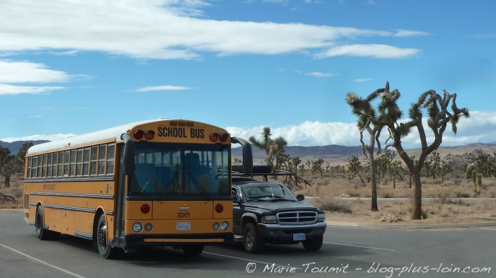 Joshua tree national park, Californie.