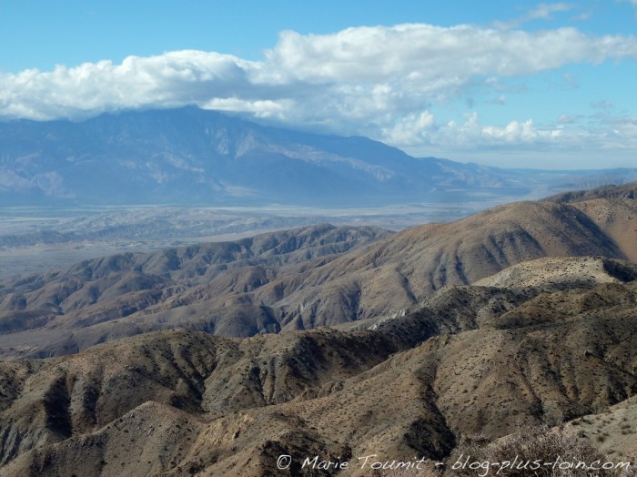 Joshua tree national park, Californie.